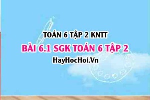 Bài 6.1 SGK Toán 6 tập 2 Kết nối tri thức